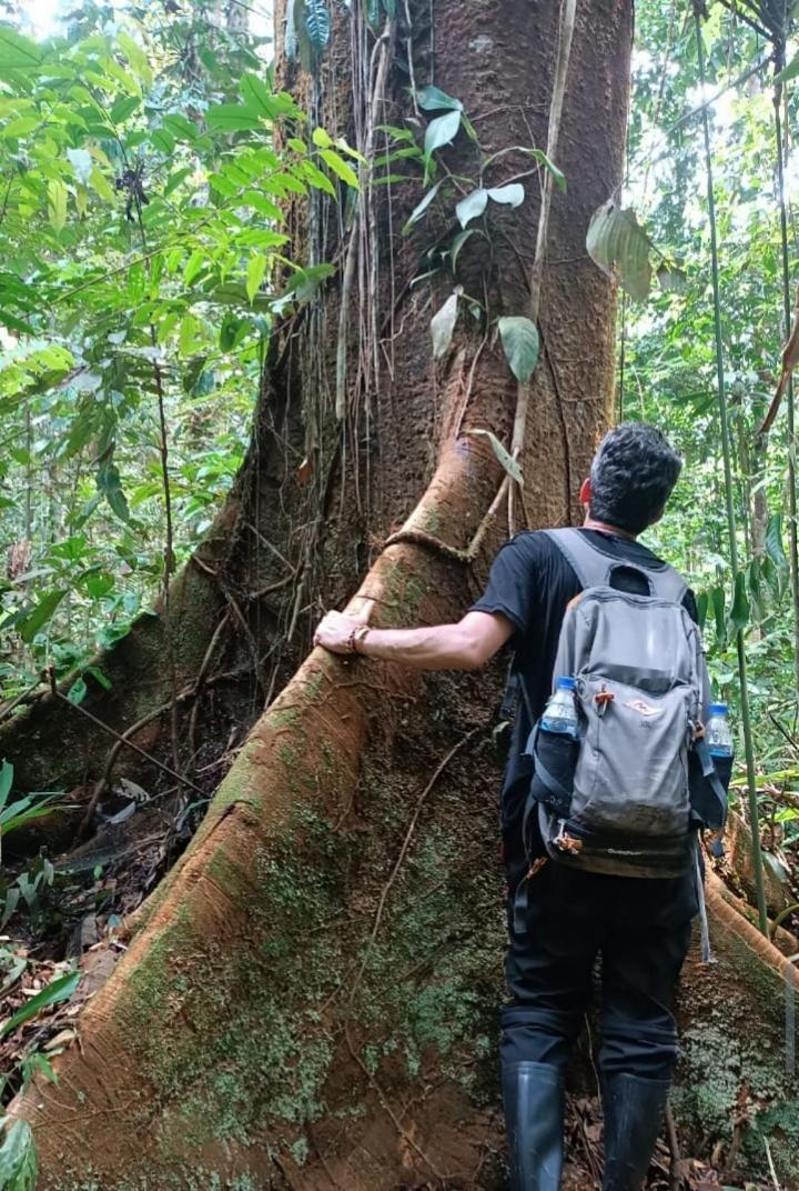 Hotel Alto Amazonas Leticia Dış mekan fotoğraf
