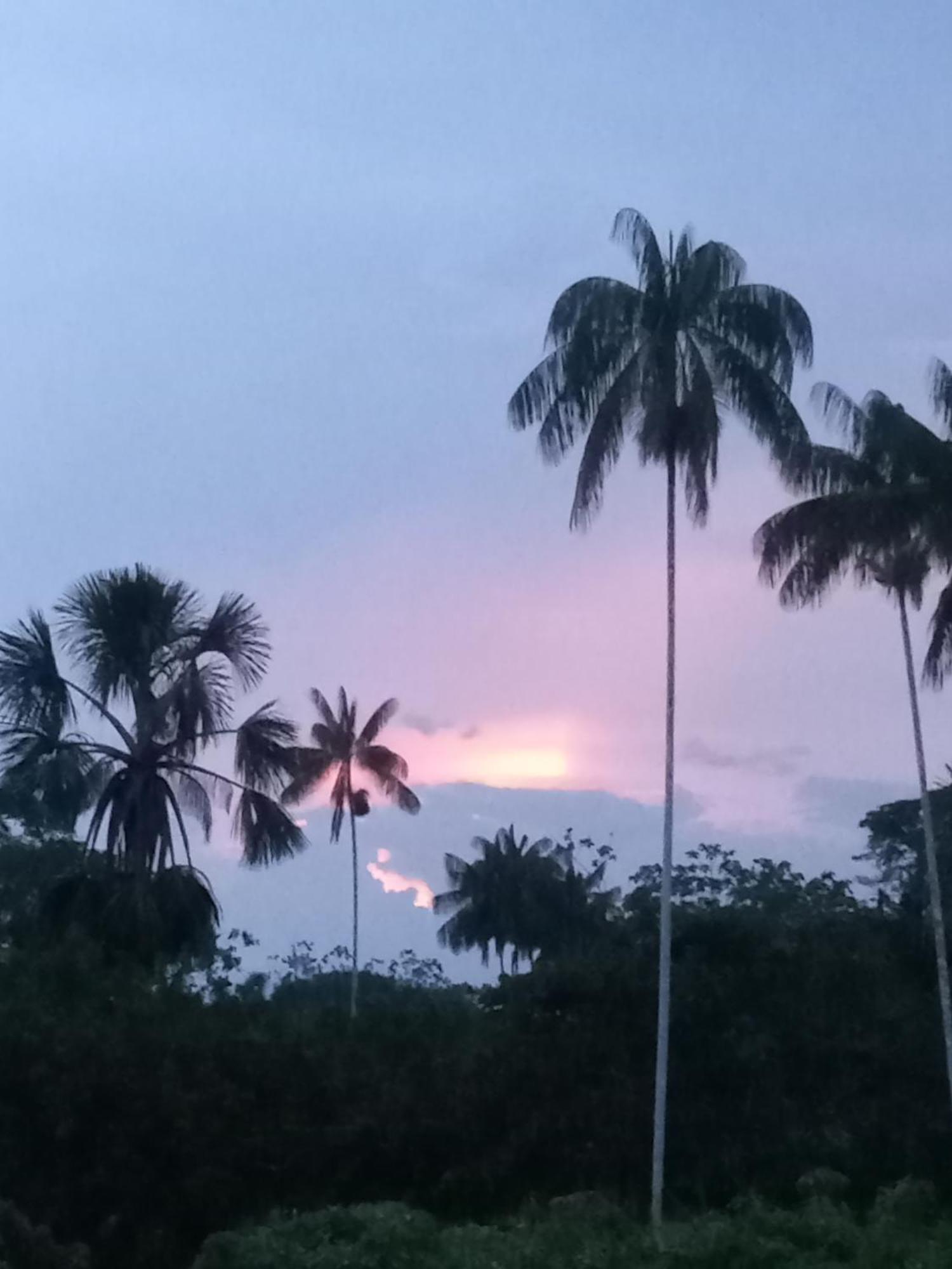 Hotel Alto Amazonas Leticia Dış mekan fotoğraf